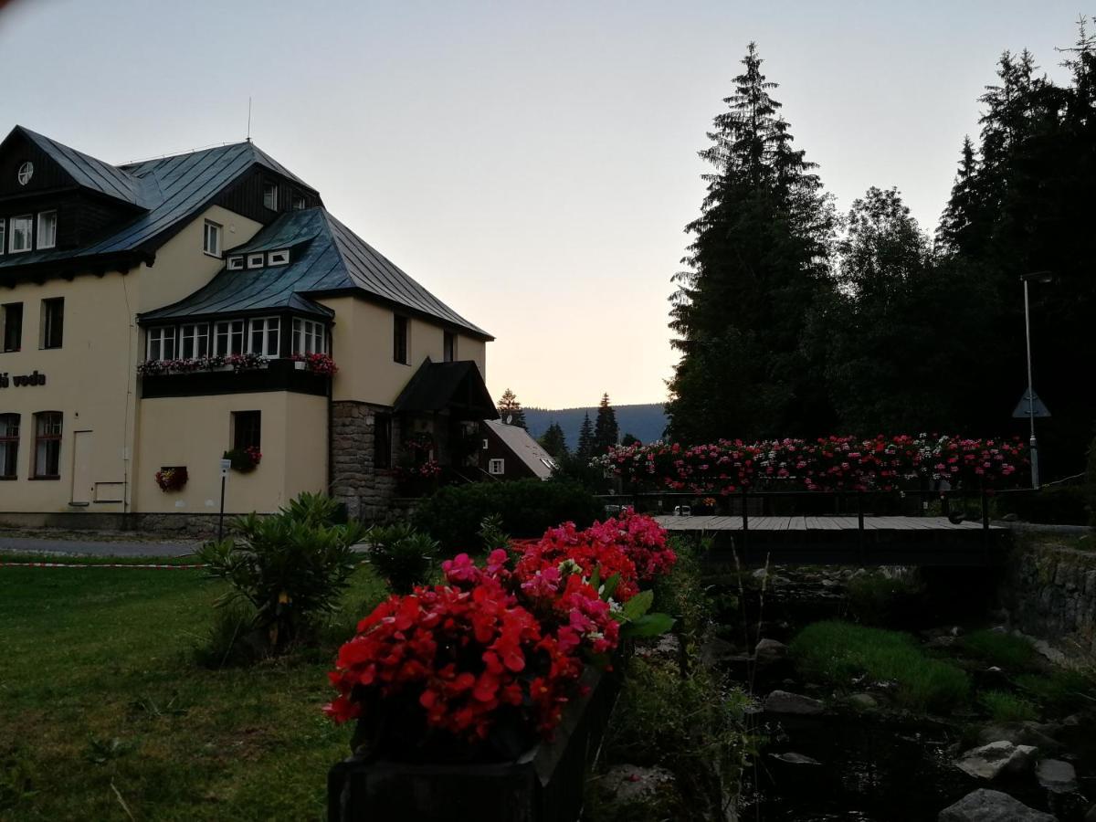 Penzion Bila Voda Harrachov Eksteriør bilde