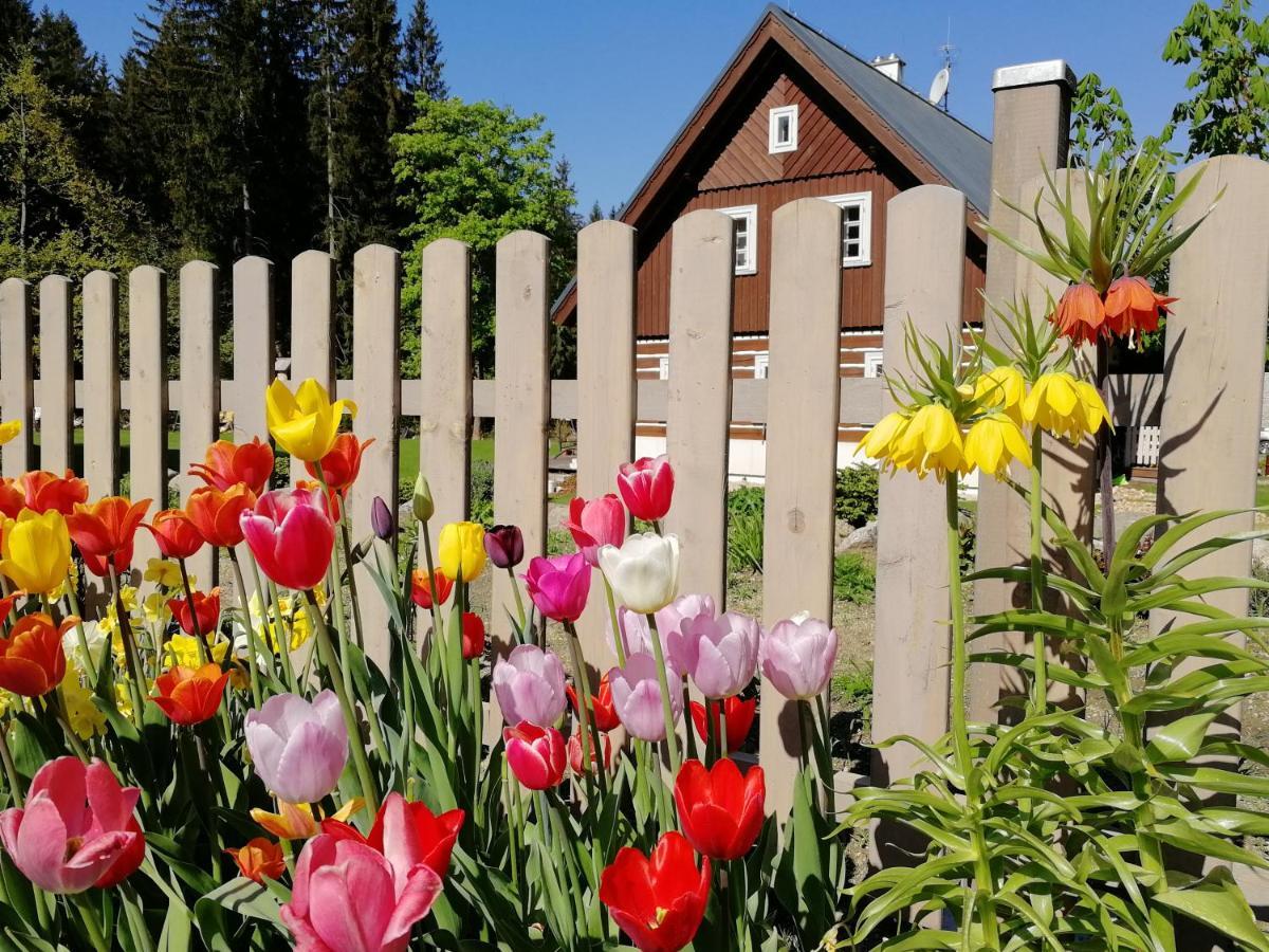 Penzion Bila Voda Harrachov Eksteriør bilde