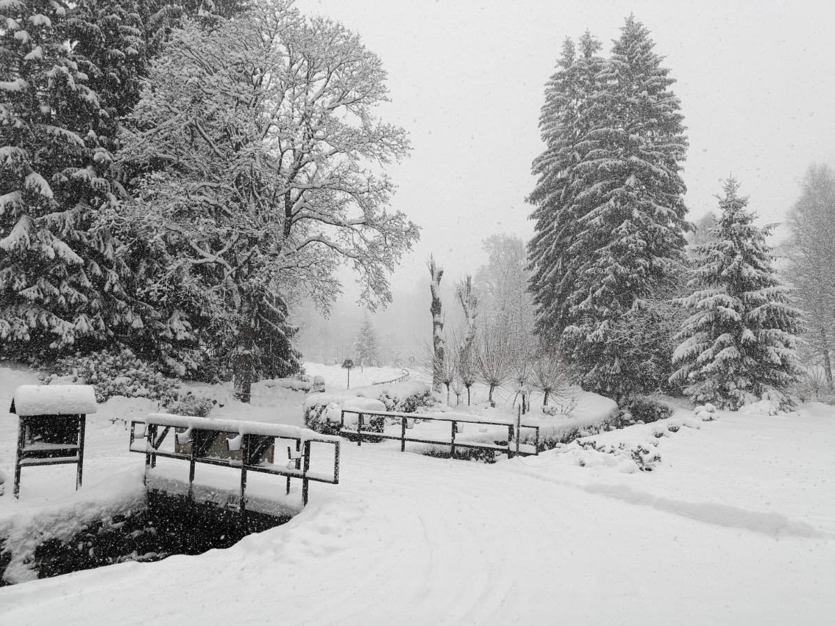 Penzion Bila Voda Harrachov Eksteriør bilde